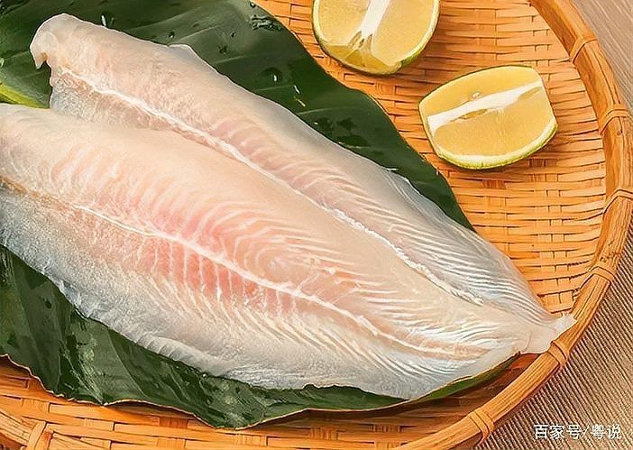 歌利魚(yú)多少錢(qián)一斤 歌利魚(yú)多少錢(qián)一斤 龍魚(yú)論壇 第3張