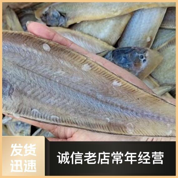歌利魚(yú)多少錢(qián)一斤 歌利魚(yú)多少錢(qián)一斤 龍魚(yú)論壇 第2張