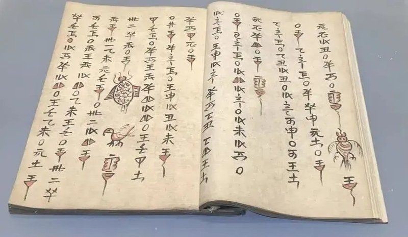 京族和水的族叫什么 龍魚百科 第4張 京族和水的族叫什么 京族和水的族叫什么 龍魚百科 第4張