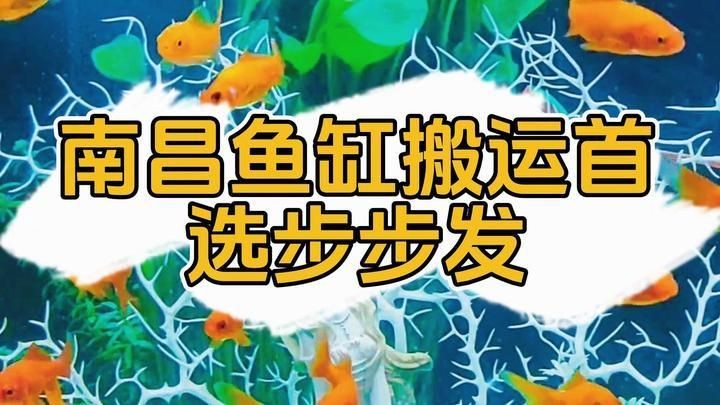 南昌魚缸維護
