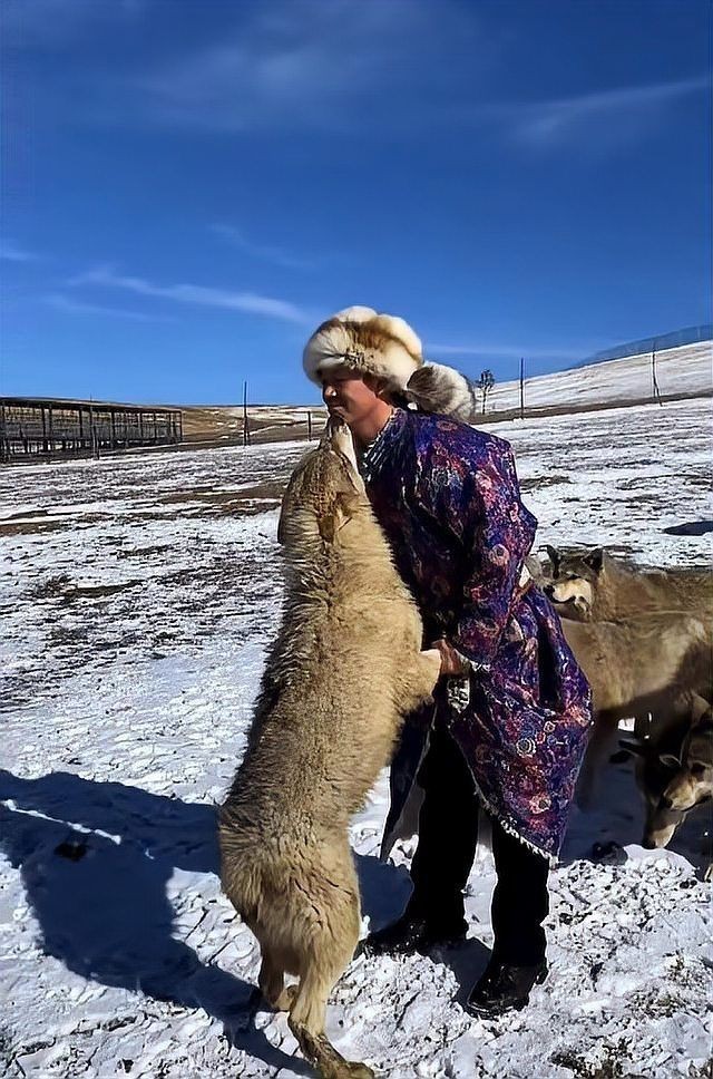 救了狼真的會報恩嗎