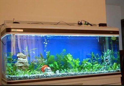 上海魚缸批發市場 上海魚缸批發市場 全國水族館企業名錄 第8張