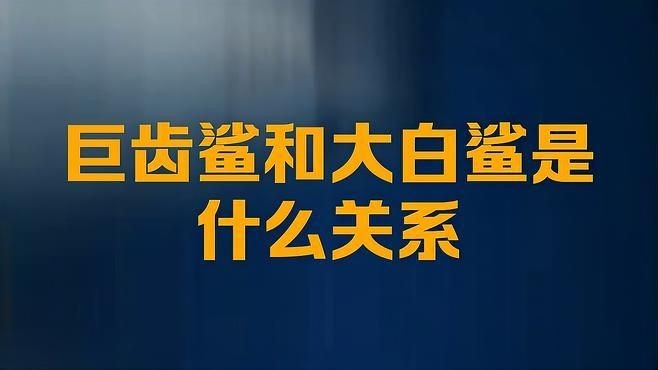 巨齒鯊和大白鯊的區別