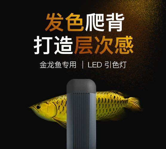吉印潛水泵官方網站
