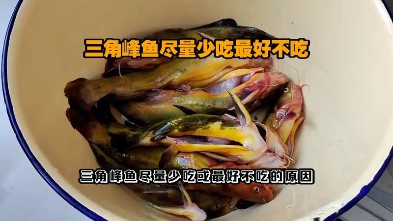 廣西三角鯉為何禁吃