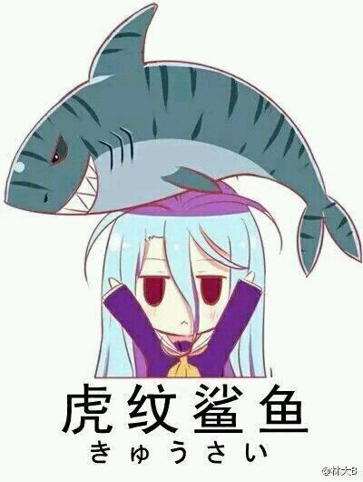 好大的魚虎紋鯊魚