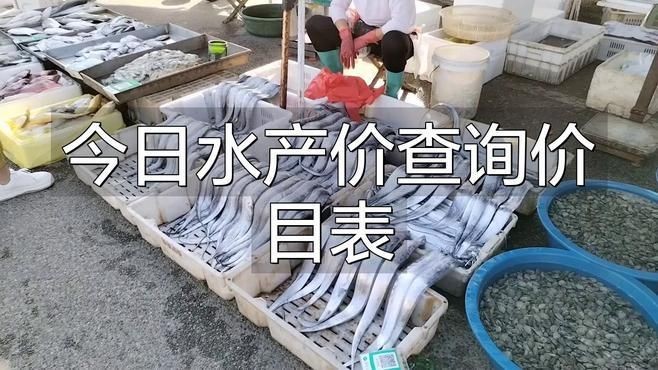 今日魚價最新價格 今日魚價最新價格 龍魚百科 第6張