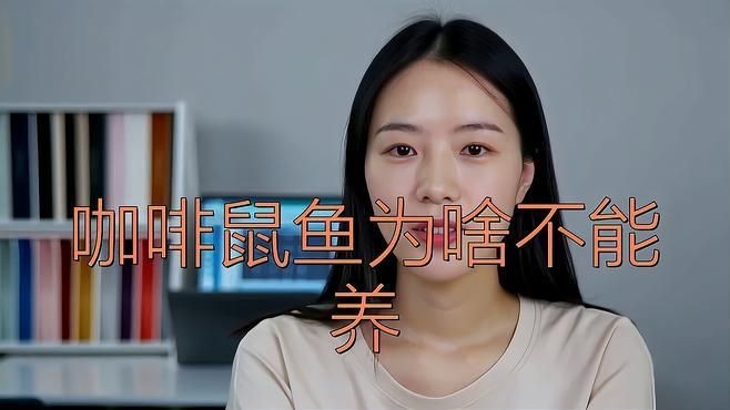 咖啡鼠為什么不建議養