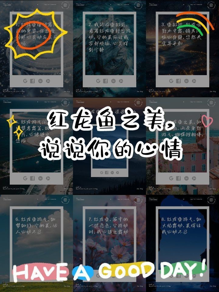 紅龍魚壁紙 霸氣