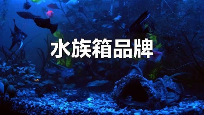 國(guó)產(chǎn)水族箱哪個(gè)品牌好 國(guó)產(chǎn)水族箱哪個(gè)品牌好 龍魚論壇 第6張