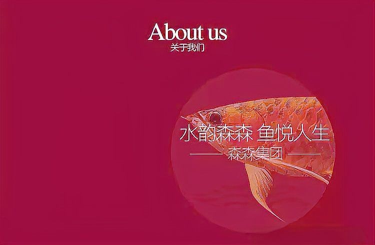 國內水族箱排名