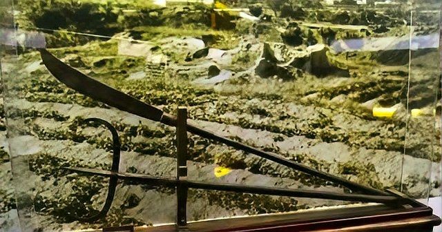 關刀真實圖片 關刀真實圖片 全國水族館企業名錄 第26張