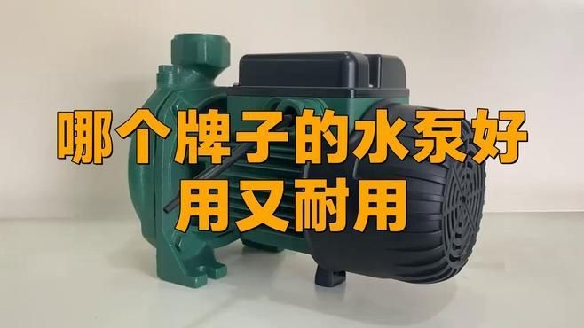 國產一線品牌水泵有哪些