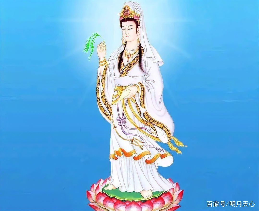吉印燈養(yǎng)水草最忌三種水果