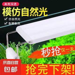 吉印燈養(yǎng)水草最忌三種水果