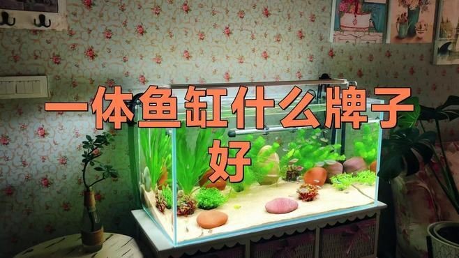 什么魚缸品牌質量好