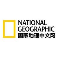巨齒鯊的照片 全身