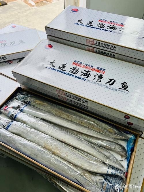 海刀魚圖片