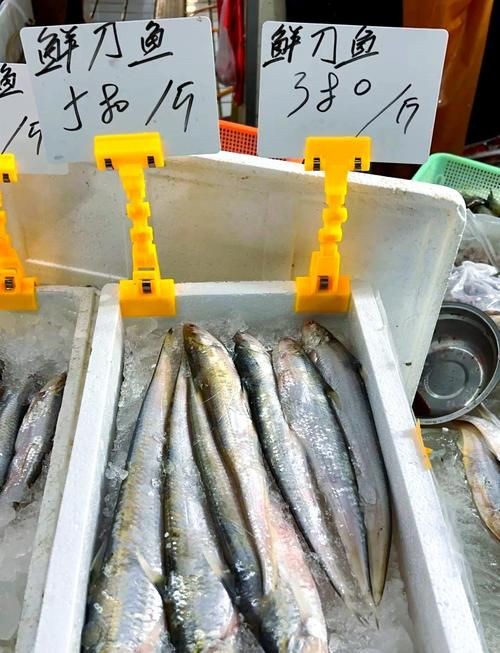 海刀魚圖片