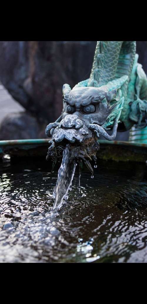 有龍有水的圖片大全