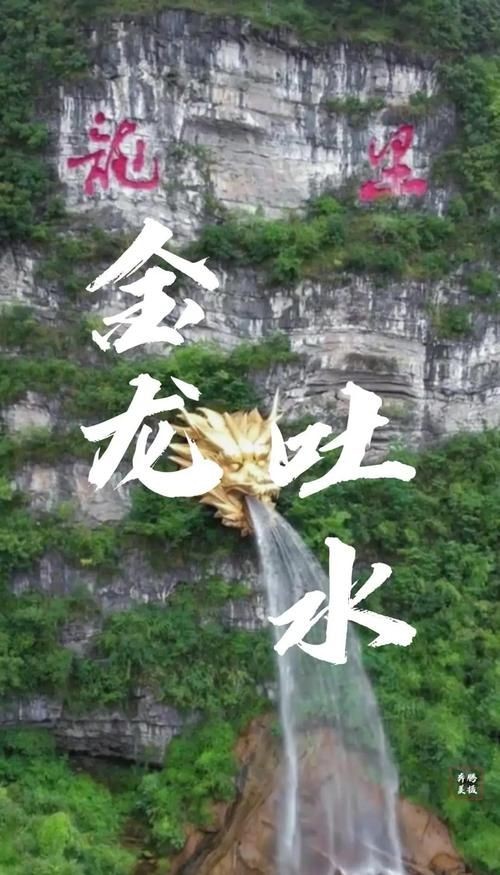 有龍有水的圖片大全