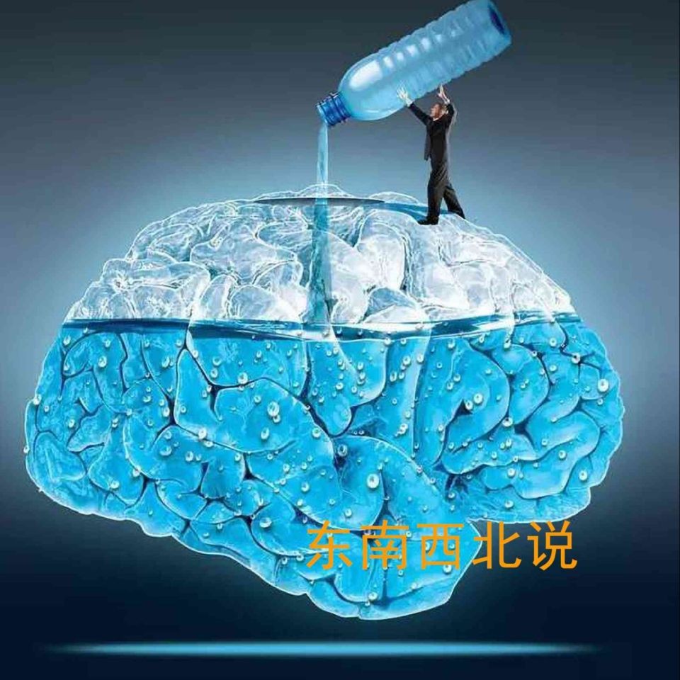 巨型財神魚
