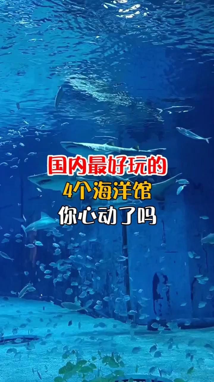 海洋館哪里的最大最好玩