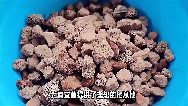 紅龍魚凸眼病會自愈嗎，紅龍魚凸眼病不會自愈嗎？ 紅龍魚凸眼病會自愈嗎，紅龍魚凸眼病不會自愈嗎？ 龍魚百科 第1張