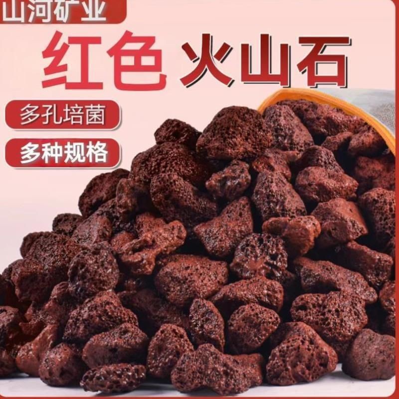 河里的天然濾材