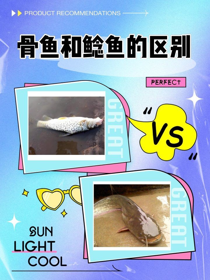 廣西骨魚