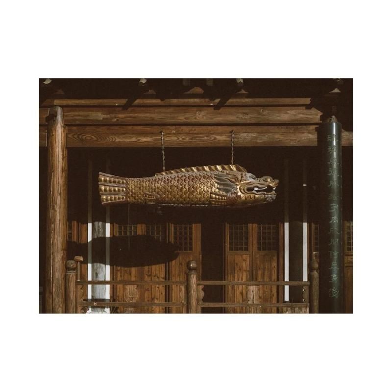 和尚頭魚圖片