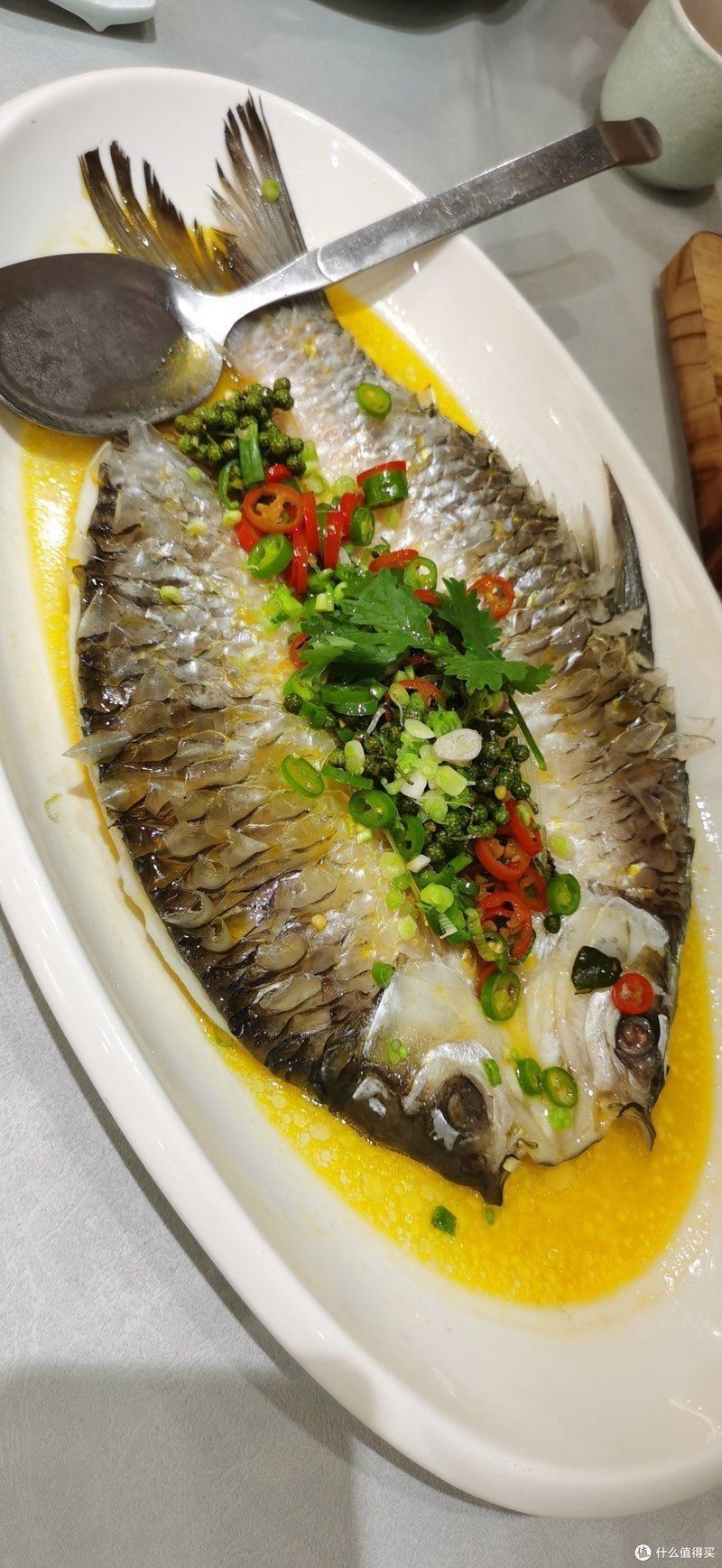 廣東養(yǎng)殖忘不了魚李婉華 廣東養(yǎng)殖忘不了魚李婉華 龍魚論壇 第6張