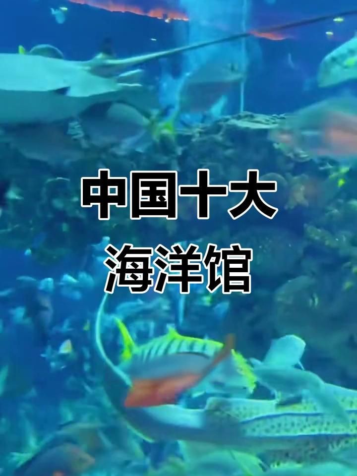 海底世界排行榜前十名