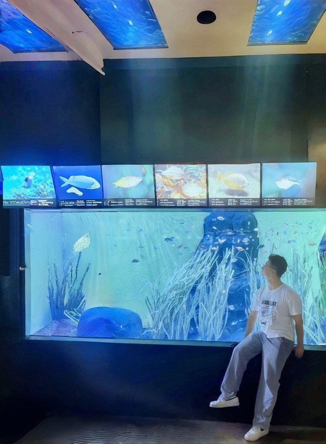 海洋館上午去還是下午去