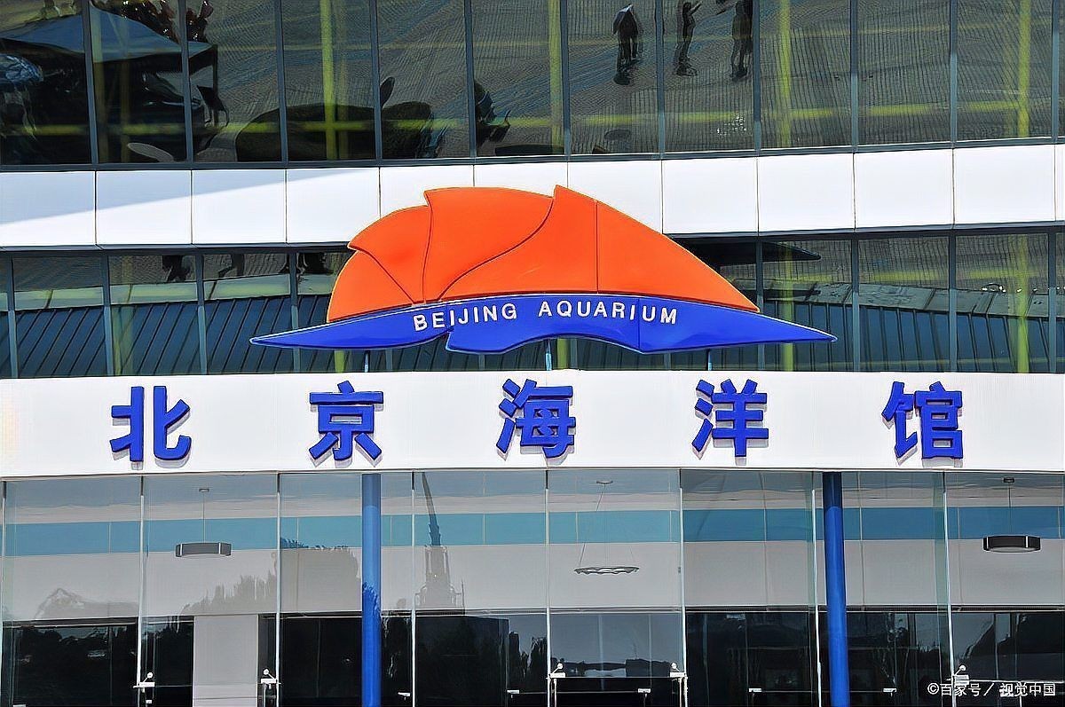 海洋館上午去還是下午去