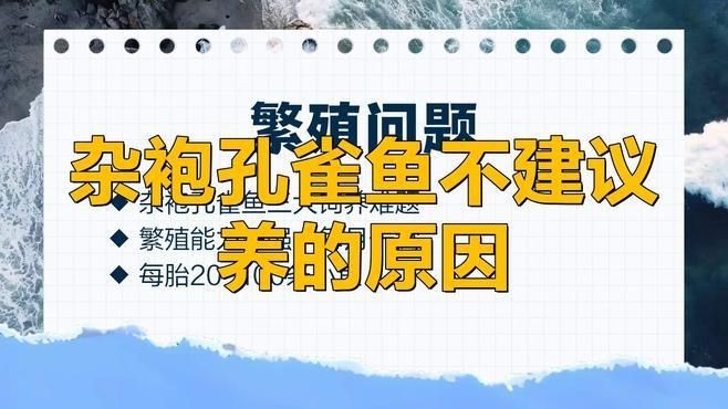 孔雀魚為什么不建議養