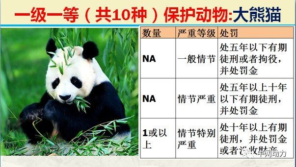 國家一二三級保護動物