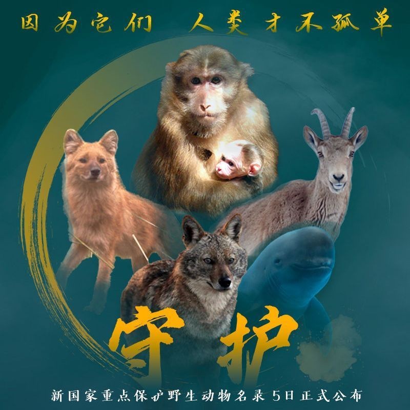 國家一二三級保護動物