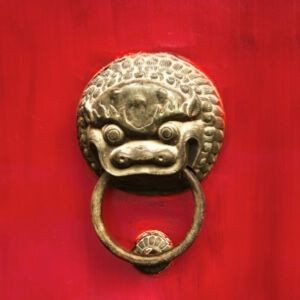 國內(nèi)哪里紅龍最出名 全國水族館企業(yè)名錄 第10張 國內(nèi)哪里紅龍最出名 國內(nèi)哪里紅龍最出名 全國水族館企業(yè)名錄 第10張