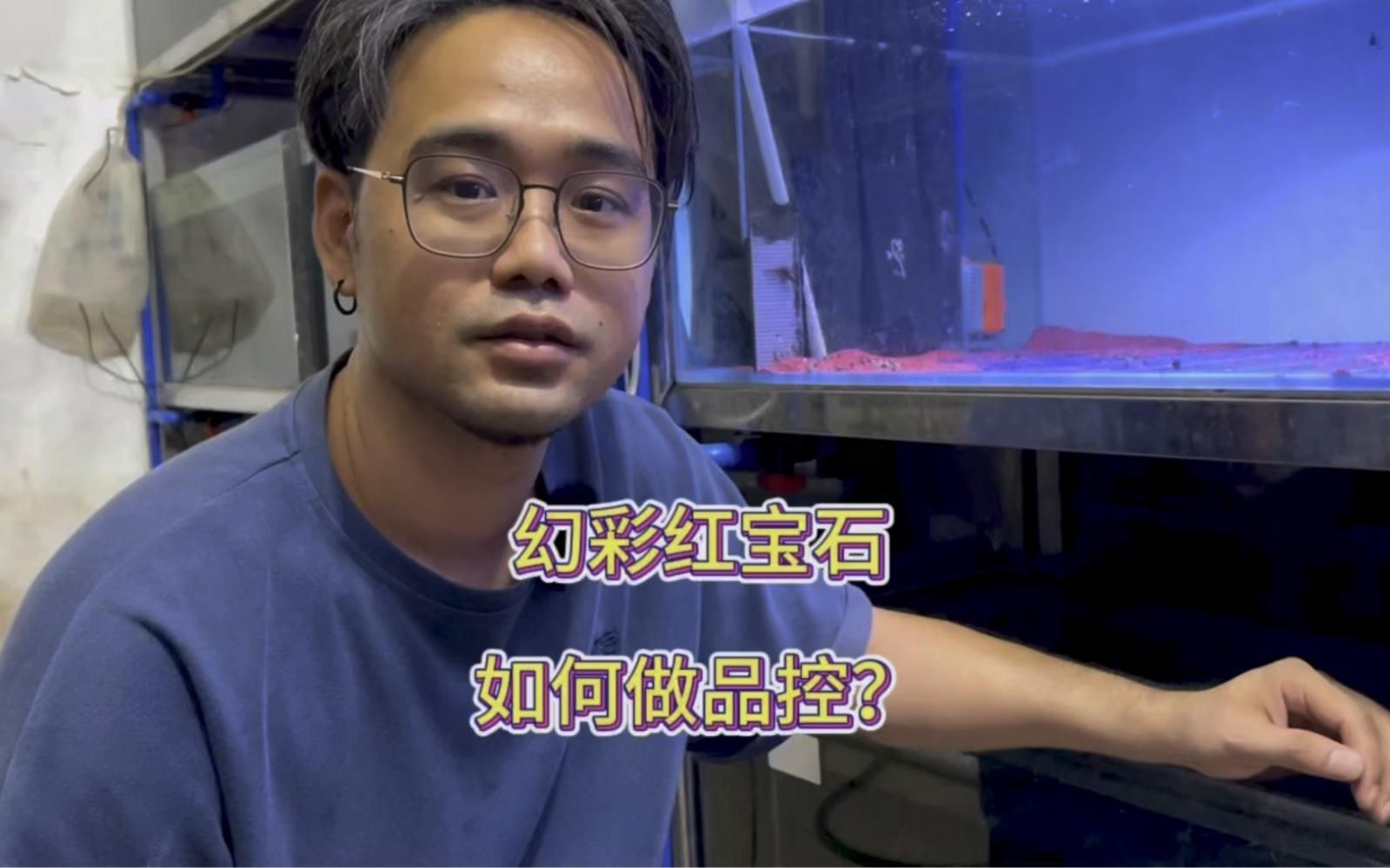 幻彩雷龍屬于什么檔次