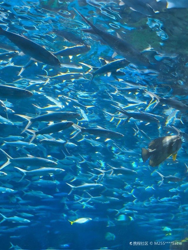 周口水族館