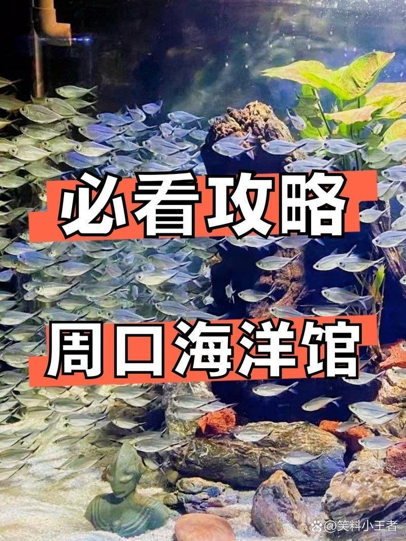 周口水族館