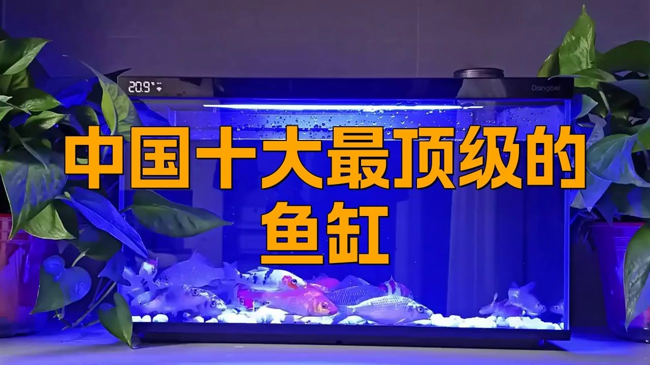 國內十大最好的水族箱品牌
