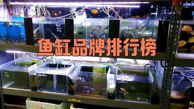 國內十大最好的水族箱品牌