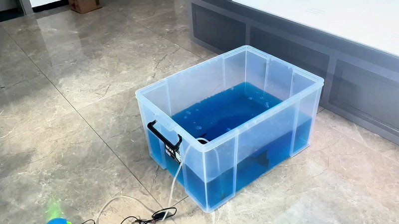 哥倫比亞巨暴魚能長多大