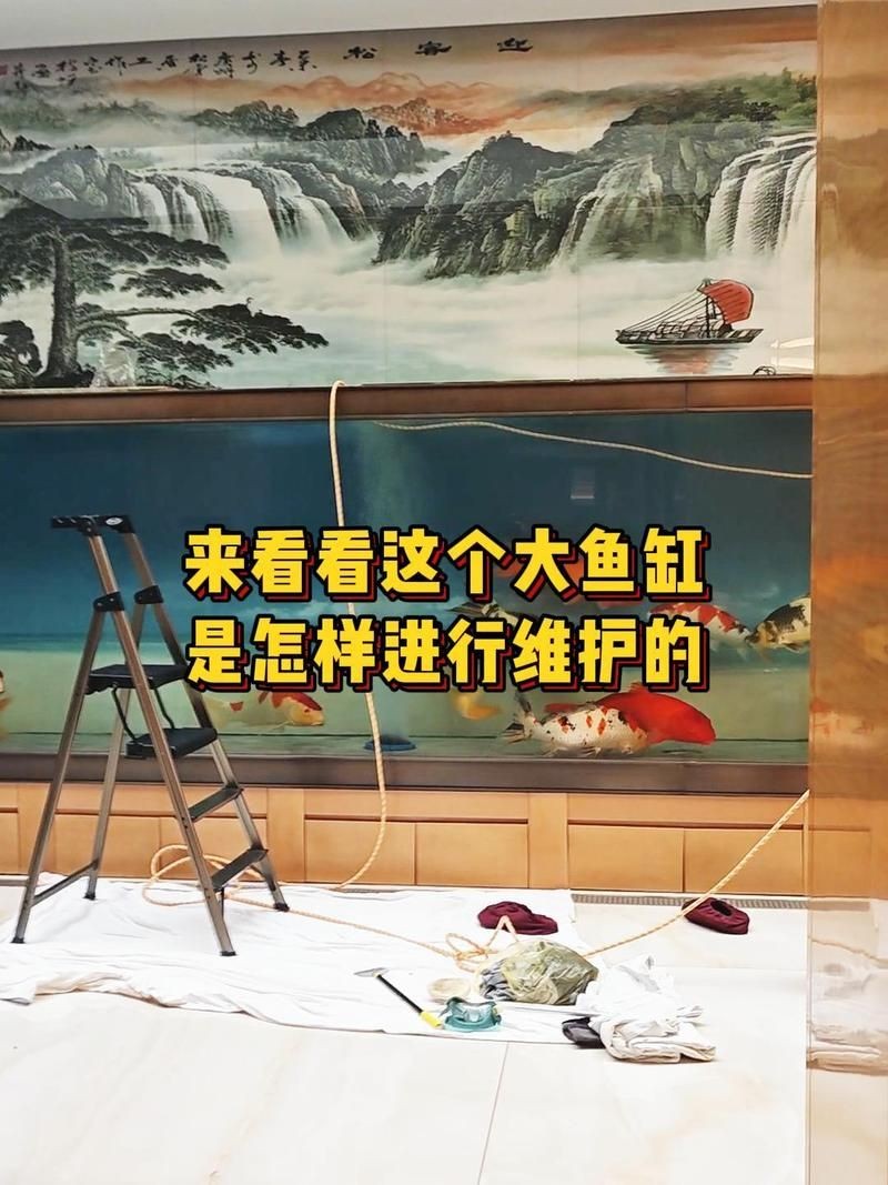 吳忠魚缸維護