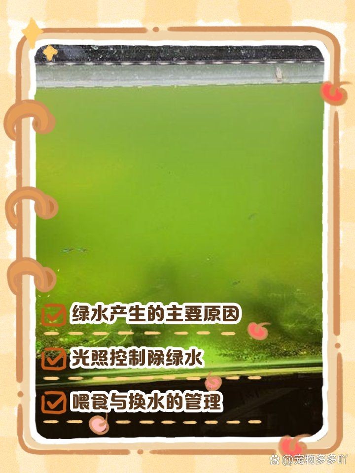 吉印水草燈養(yǎng)綠水 吉印水草燈養(yǎng)綠水 龍魚論壇 第6張
