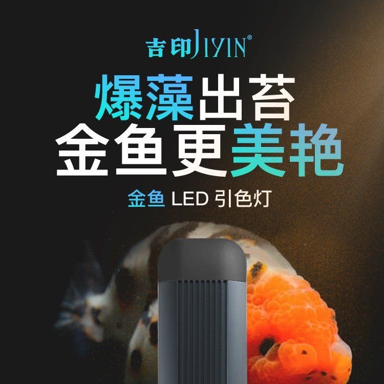 吉印水草燈養(yǎng)綠水 吉印水草燈養(yǎng)綠水 龍魚論壇 第9張