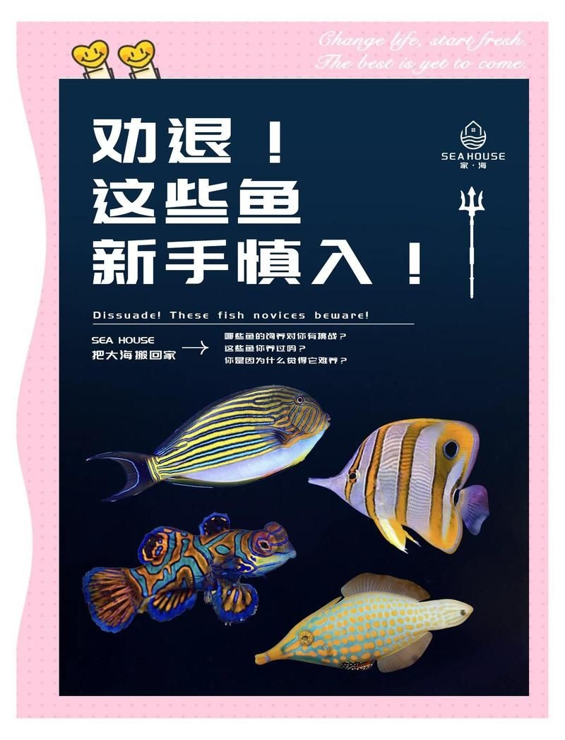 海水養殖最忌三種魚