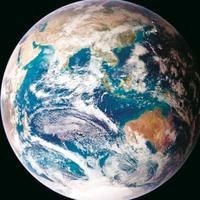 海洋動物名稱大全500種